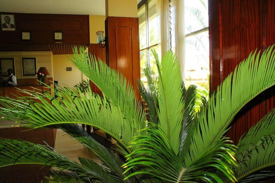 Kivi Milimani Hotel ไนโรบี ภายนอก รูปภาพ